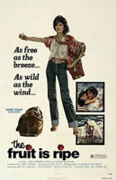 美国版《小蜜蜂》高清电影免费在线观看