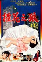 《如狼似虎的女人》电影免费观看