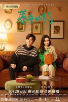 电视剧《暮色心约》第01集免费完整版全集在线观看